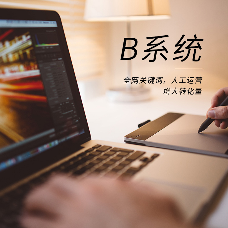 B系統(tǒng).jpg